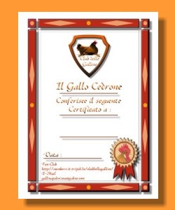  Il Club delle Galline - 
Sito nato da un'idea di Salvatore Baglieri. 
Il design del sito  curato da Sonia Baglieri. 
Non copiare il materiale senza il consenso degli autori.